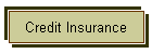 Credit Insurance